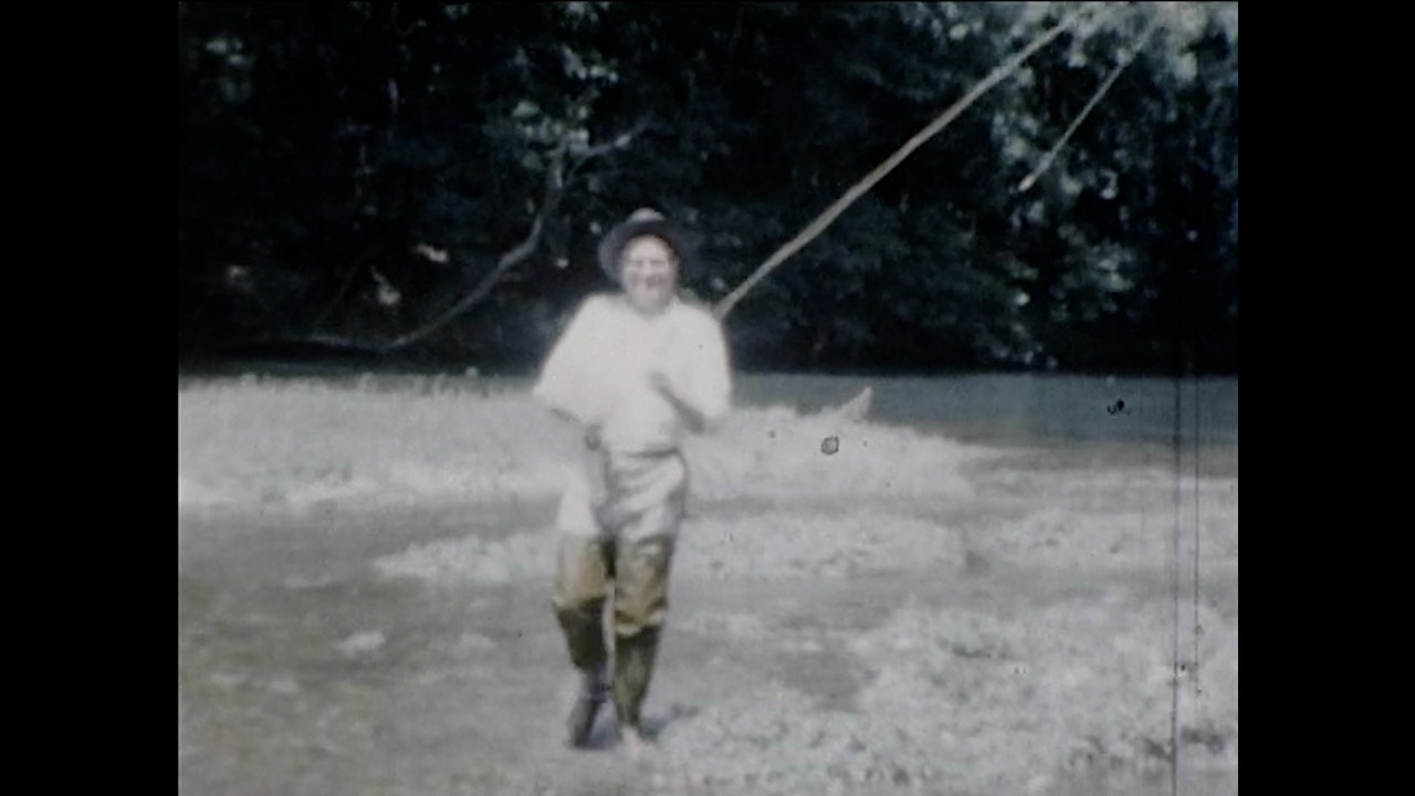 marigold film still